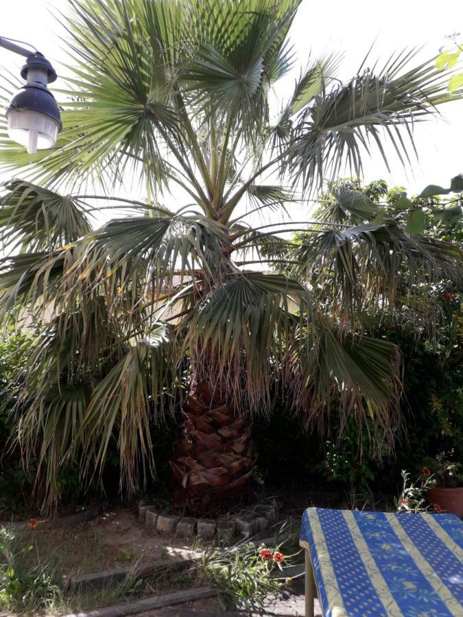 Rez De Chaussee Studio Climatise Dans Villa Aigues-Mortes Eksteriør billede